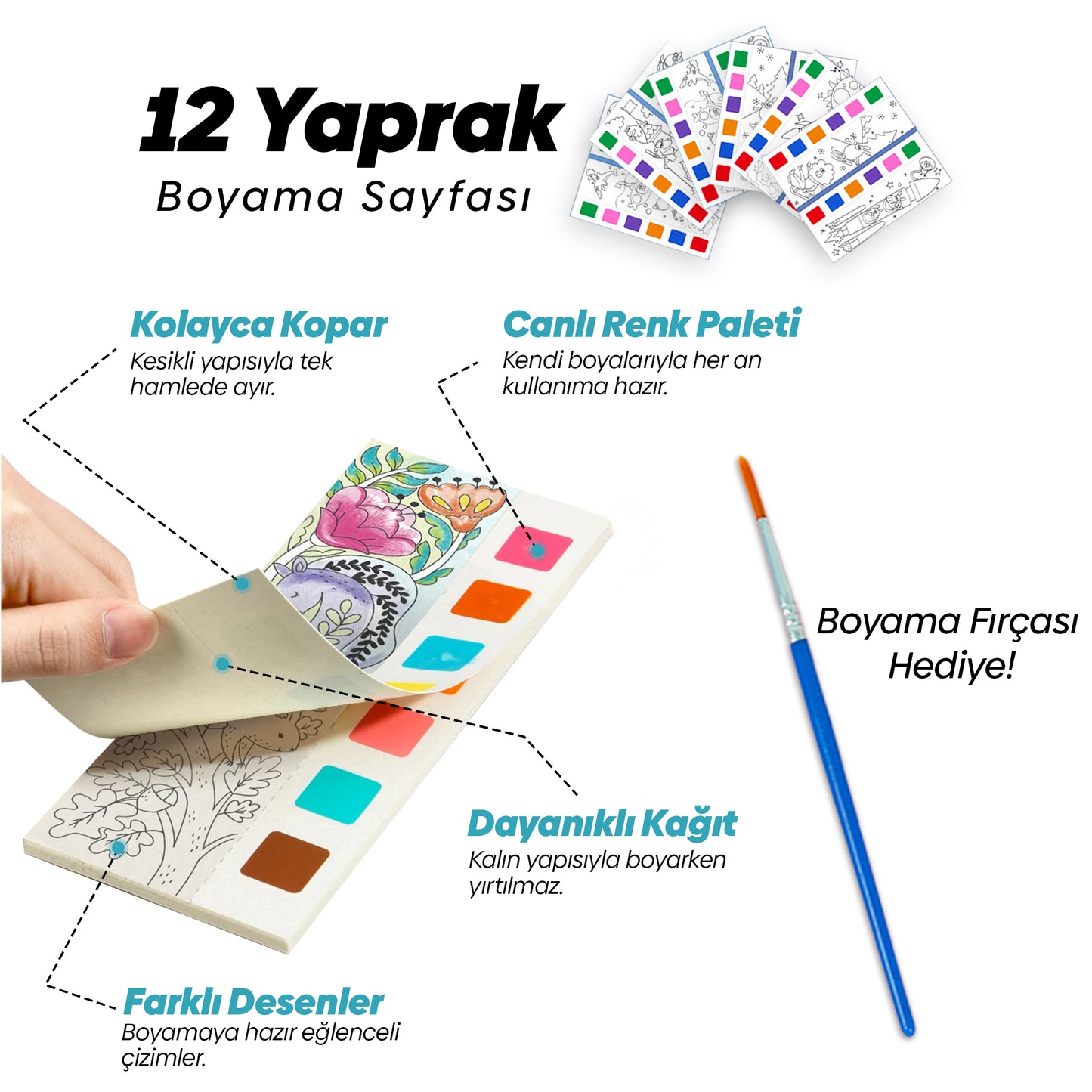 Renk Paletli Sulu Boya Kitabı + Fırça